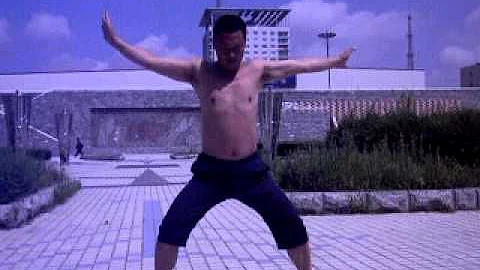 bajiquan MZhang Wenhai - Cina 2011