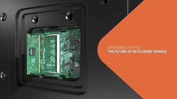 Now available on NEC #1