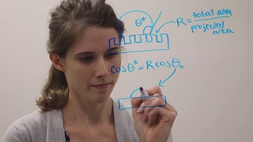 Introducing Scratchwork