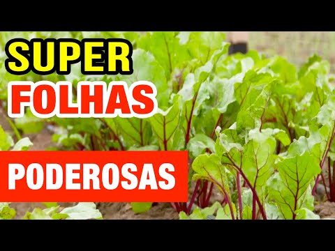 Vídeo: As folhas de beterraba são nutricionais?