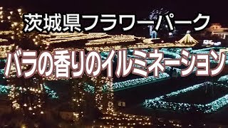茨城県フラワーパークで「ウインターイルミネーション」開幕