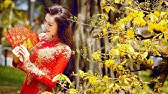 Musique Vietnamienne Traditionnelle Et Gratuite Youtube