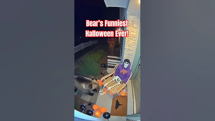 🐻 Bear Gets Scared by a Halloween Skeleton! 😱🎃 (Caught on CCTV) #Bear #Halloween #FunnyAnimals