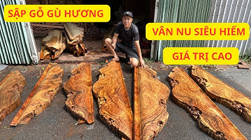 Sập Gỗ Gù Hương Vân Nu Siêu Hiếm Có Mùi Thơm Và Siêu Giá Trị Cao