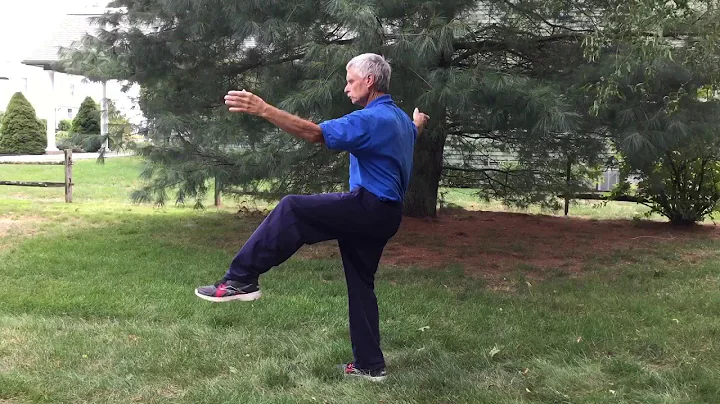 37 Posture Tai Chi Form, Back View