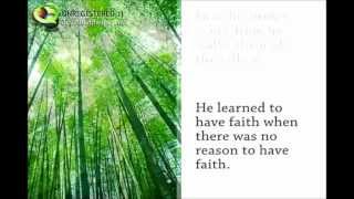 The Chinese Bamboo Story Noticias