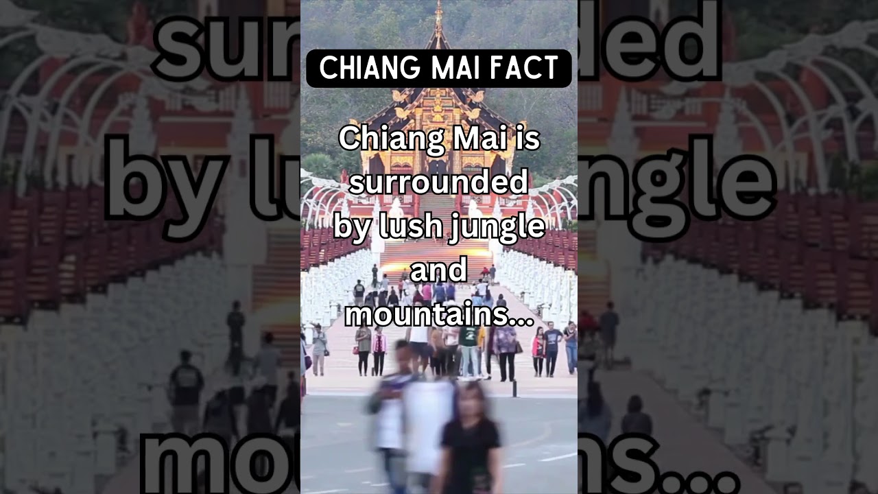 Chiang Mai: Jungle & mountain adventures await! 🌳🏞️ 