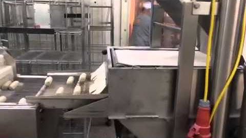 Verbufa Kroketten Machine / Verbufa Bitterballen Machine / Verbufa Croquettes Machine