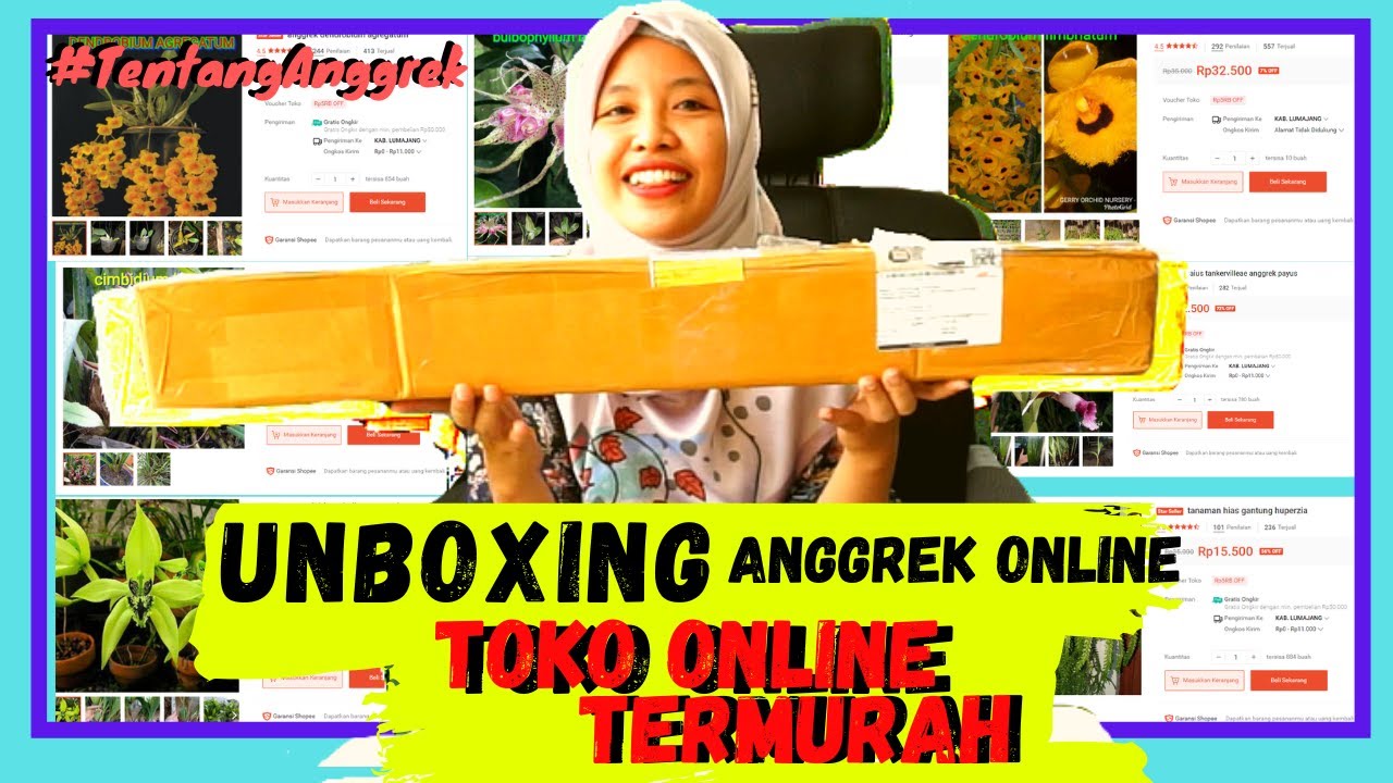 UNBOXING BELI BUNGA  ANGGREK  ONLINE  DARI TOKO TERMURAH 