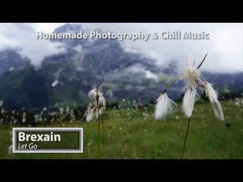 Electronic Music 24/7 Live | Deep & Tropical House | Liquid Drum & Bass | Nature Photography