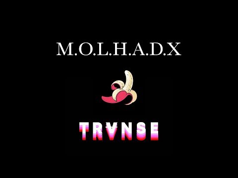 TRVNSE - M.O.L.H.A.D.X (Lyric Video)