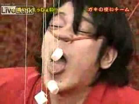 Japan Game Show   Marshmallow Eating