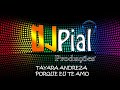 TAYARA ANDREZA - PORQUE EU TE AMO #Djpial