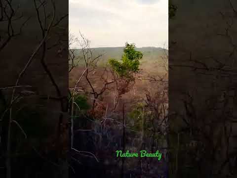 nature beauty #youtubeshorts