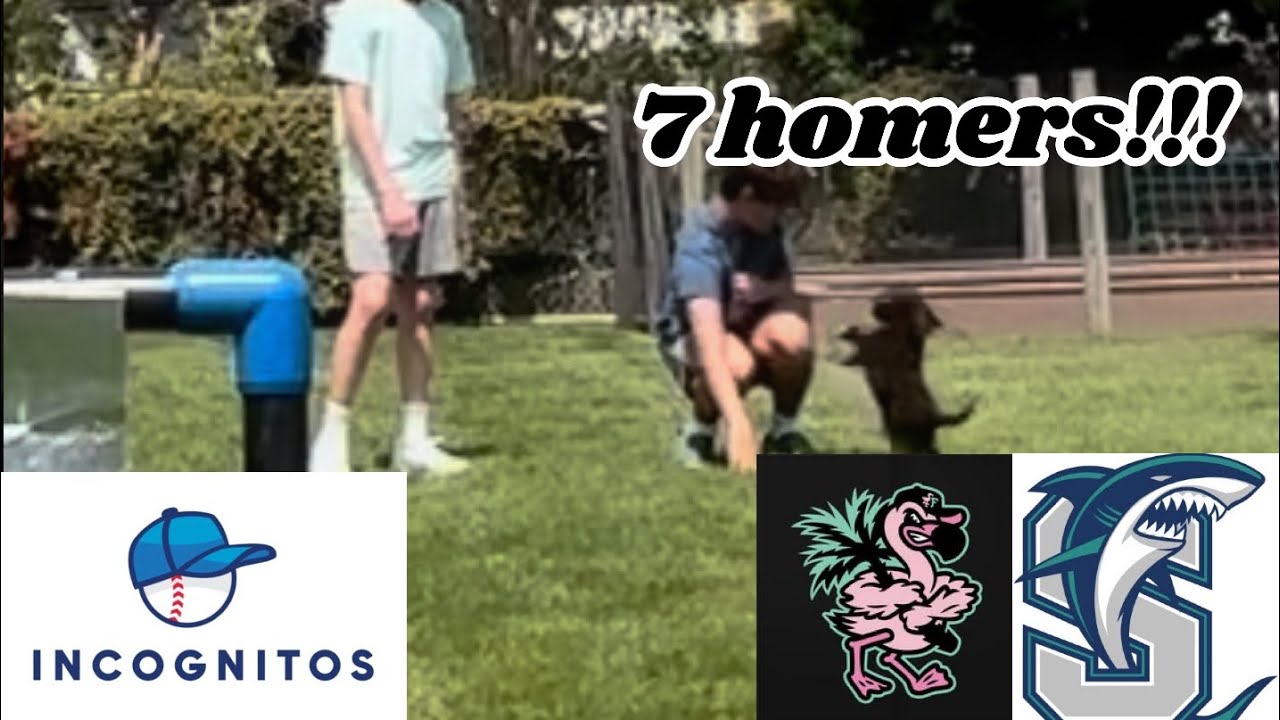 Spring Training INCOGNITOS vs FLAMINGOS/SHARKS | Big Wiffle