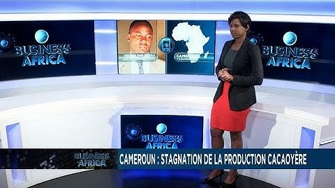 Cameroon: stagnation in cocoa production