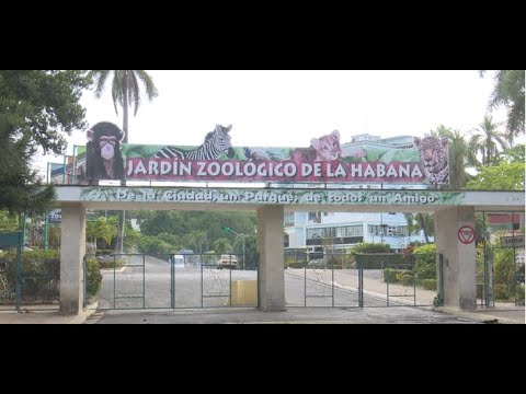Zoológico de 26 en La Habana renueva sus espacios