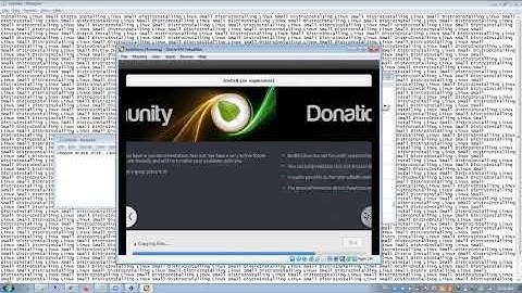 Installation of Bodhi Linux 1 Installation in VirtualBox #1