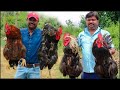 Desi Chicken Recipe | 4 King Size Country Chicken | Village Style Cooking | Uncut Foodies