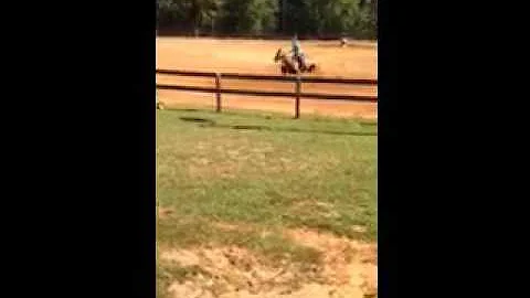 Debra riding Dillon