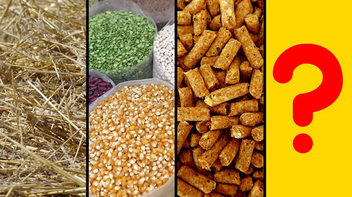 From Hay to Grain: A Guide to Goat Feeds and Their Benefits - GOAT Farming Feeds