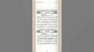 Daily Quran-surah Al Takathur-page 600 #quran قرآن سورة التکاثر
