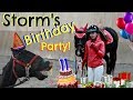 WE GAVE OUR HORSE A BIRTHDAY PARTY! Day 098 (04/08/18