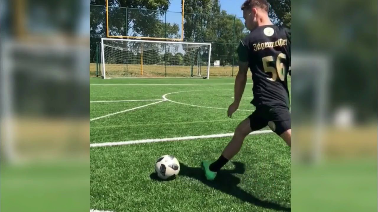 動物画像無料 50 素晴らしいサッカー の 面白い 動画