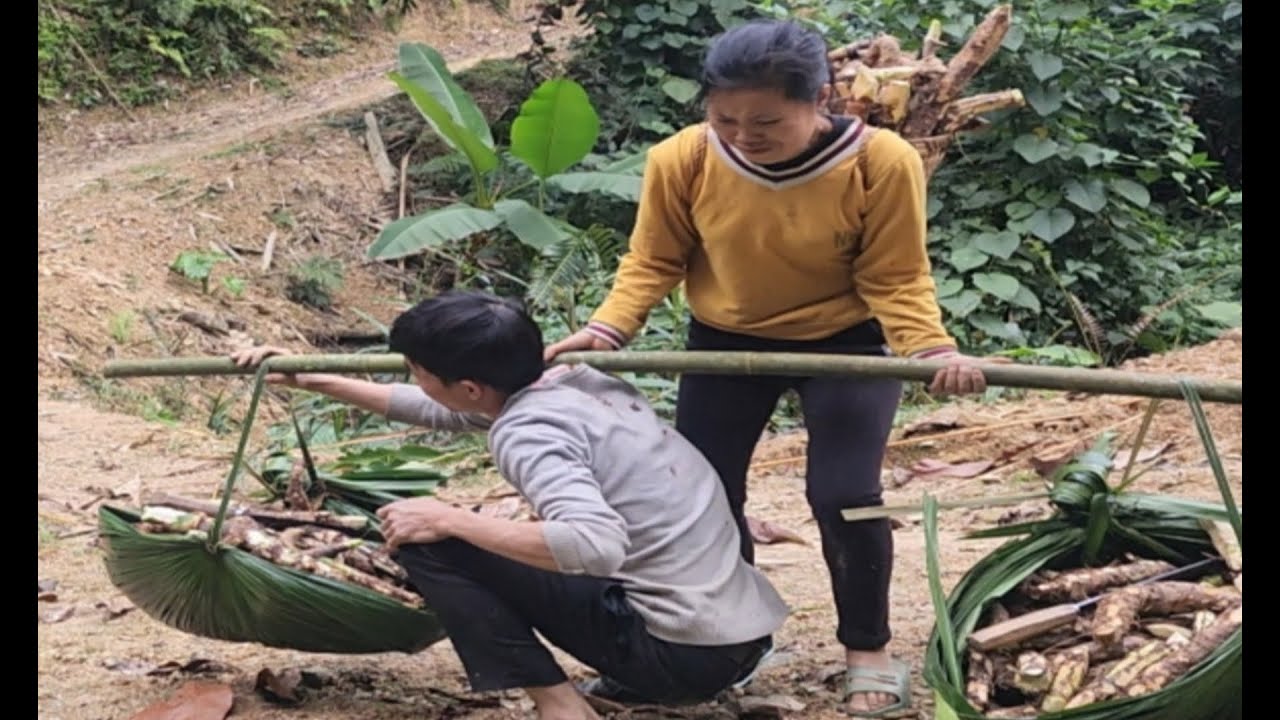 Ly and Nam went into the forest together to pick forest products to sell