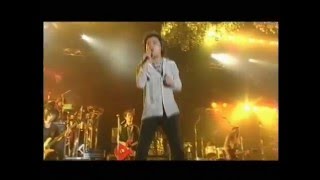 Video thumbnail of "甲斐バンド　きんぽうげ"