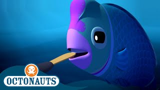 Octonauts  The Humphead Parrotfish  | Cartoons for Kids | Underwater Sea Education