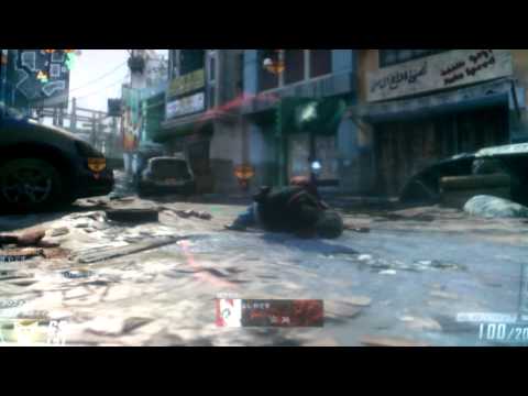 BO2 チーター発見這いよりました