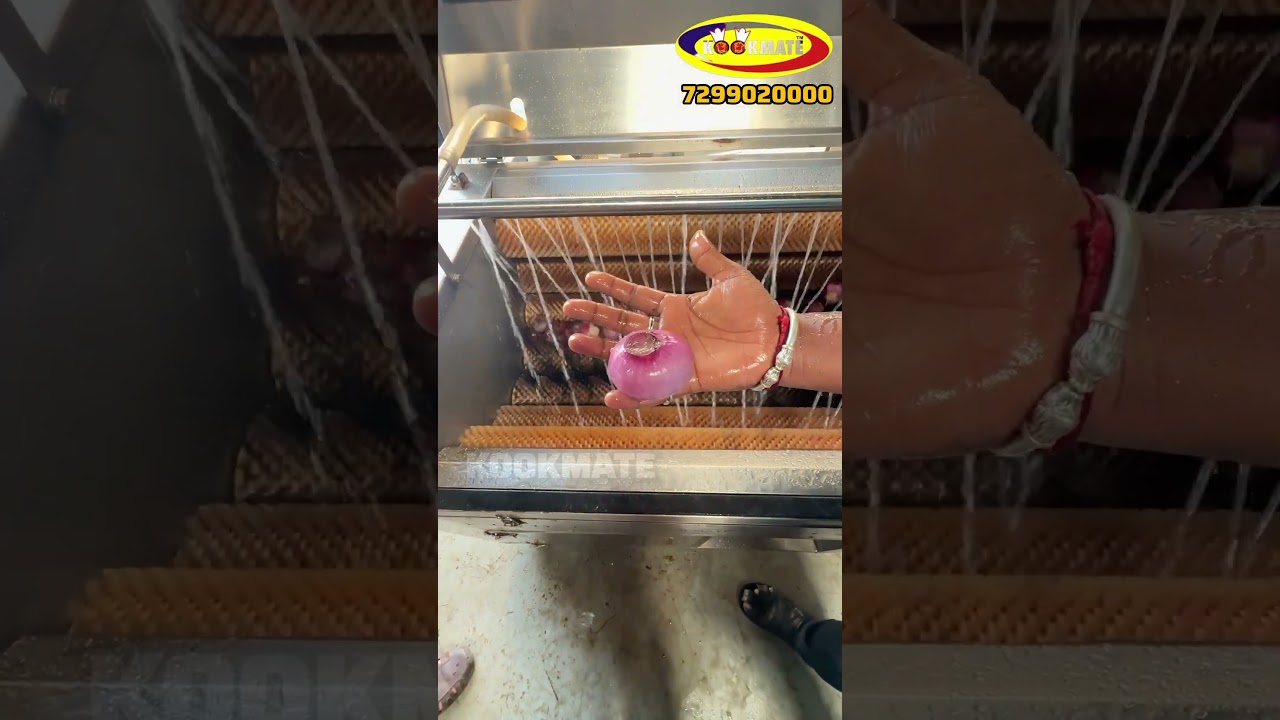Client Demo For Commercial Vegetable Brush Peeling & washing machine | Ozone Bubble Washer