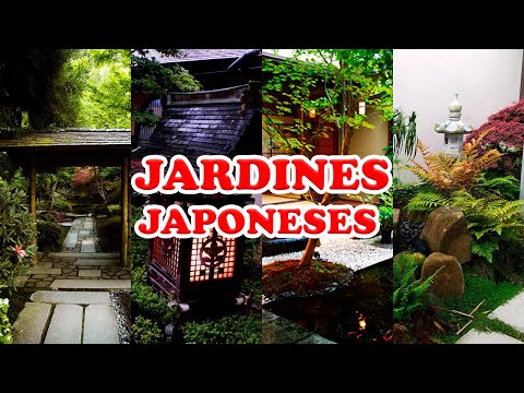 Video: Jardín de rocas japonés: una decoración digna del paisaje