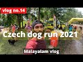 Czech Dog run Malayalam vlog.dog loves. |Czech Republic Malayalam vlog| Tinto&#39;s Vlog..