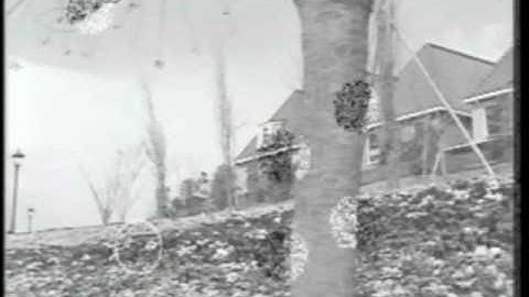 Probabilistic detection and tracking of motion boundaries, ICCV 