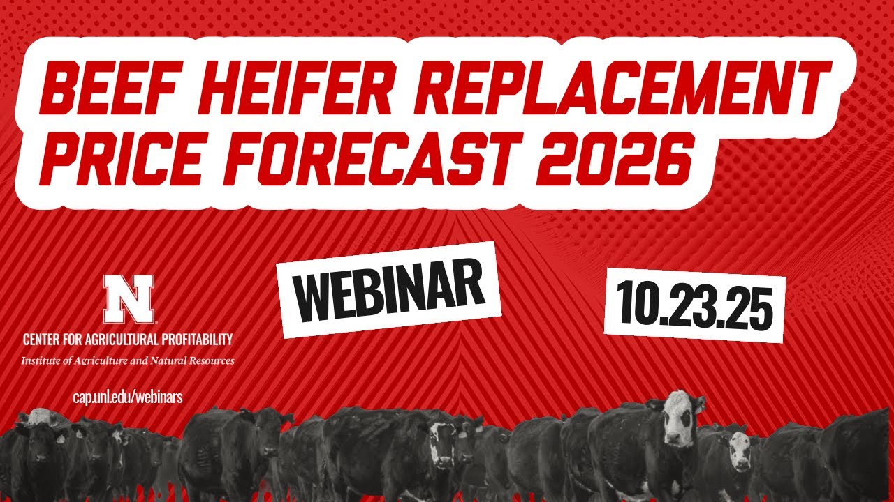 Beef Heifer Replacement Price Forecast 2026 (Oct. 23, 2025 Webinar)