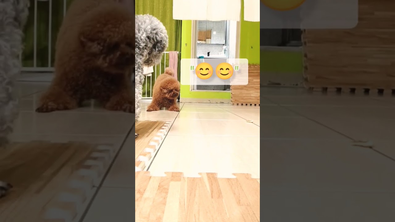 The Snack War ‼️ BB V.S QQ who are the one won the snack in the end?