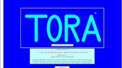 RESOLUCIÓN DEL PROBLEMA DE REDDY MIKKS EMPLEANDO TORA