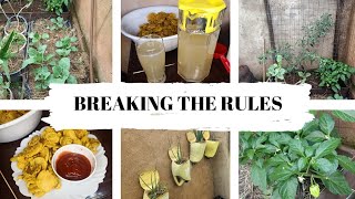 BREAKING THE RULES OF FRUGAL LIVING JUST FOR THE KIDS/FRUGAL LIVING HOMEMAKING
