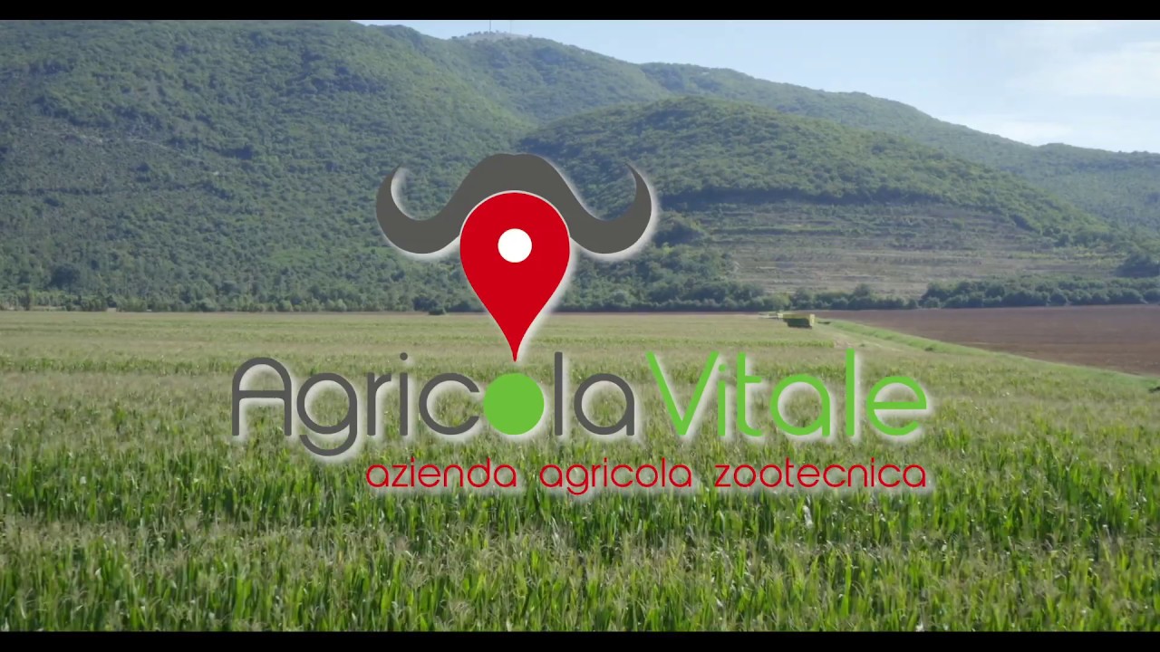 Agricola Vitale - La filiera completa