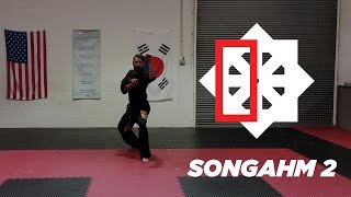 Details Songahm 2 - ATA Orange Belt Form Guide