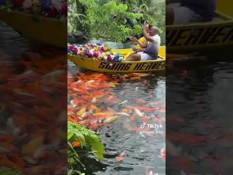 ليليان بركون جزيرة بالي