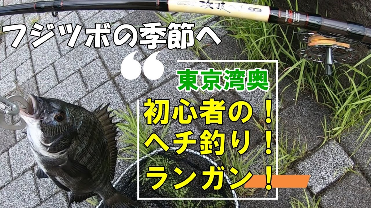 フジツボの季節へ 初心者のヘチ釣りランガン Youtube