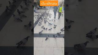 ماشاءﷲ مکّہ #saudiaarbia #travel #india #mahshallah #live #pakistan @saudchannel4