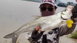 Dongting Lake Lure Fishing | Topmouth Culter, Mandarin Fish & More | Female Angler VLOG