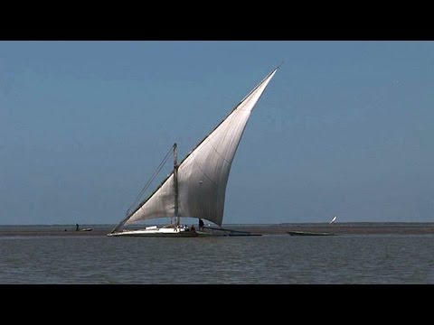 مراكب البرلس الشراعية 