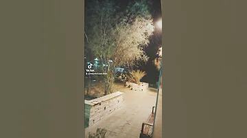 واللي جوه القلب ام كلثوم 