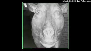 Comethazine - NO HYPE (NEW EXTENDED SNIPPET) (prod. toomonthebeatfool x 1jayem x st00pid99)