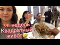 VLOG: 37 неделя | в гостях в нагаево | мой фирменный наполеон😋